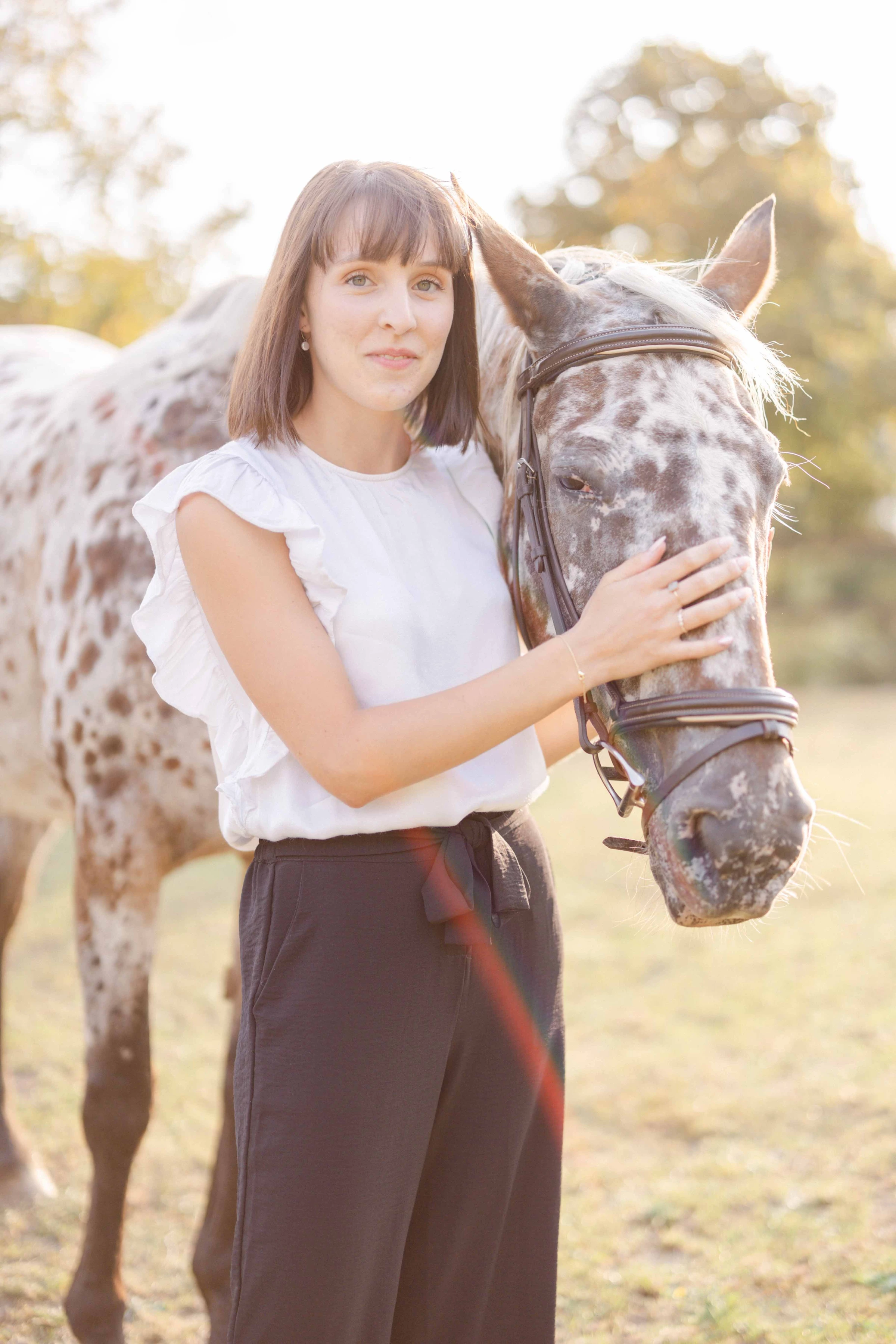 cheval ranch ferme gris animal